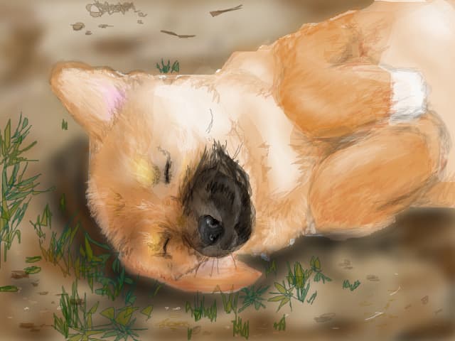 Sweet dreams