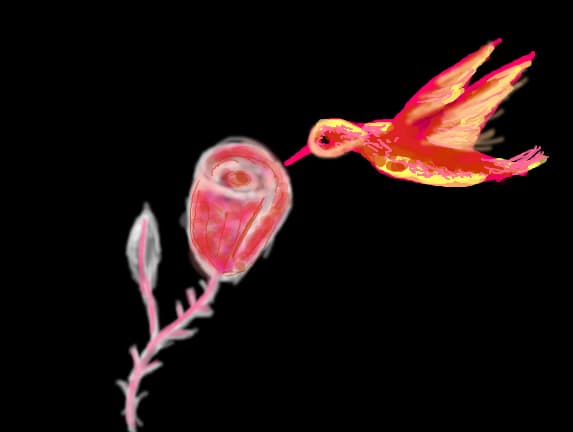colibri