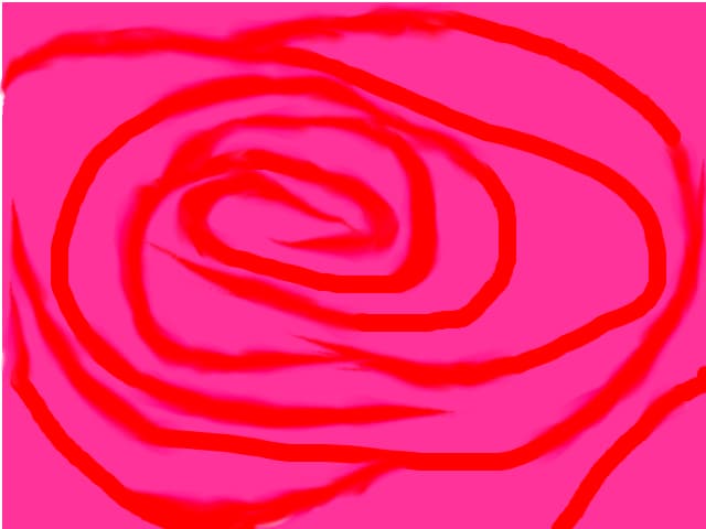 pink rose