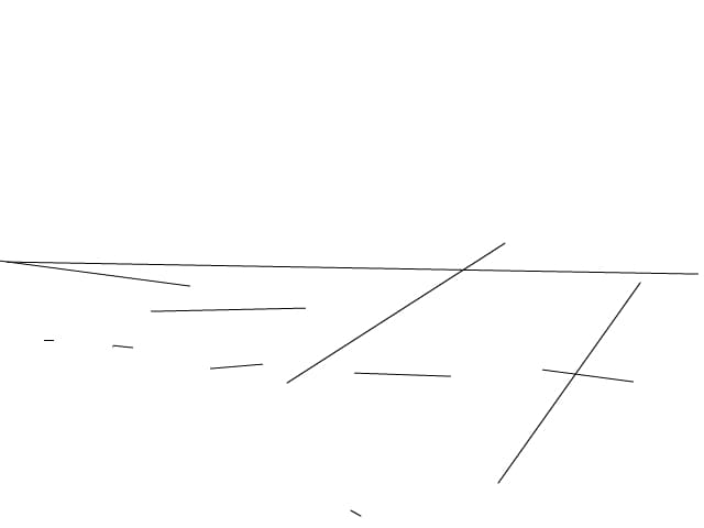 lini