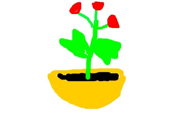 floare