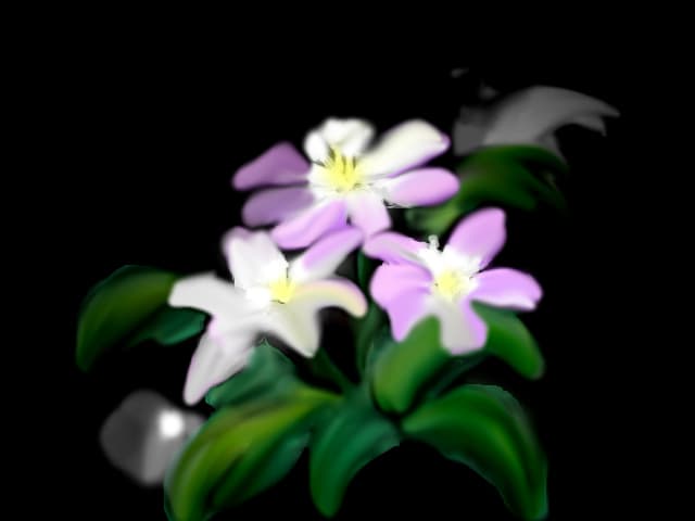 flori