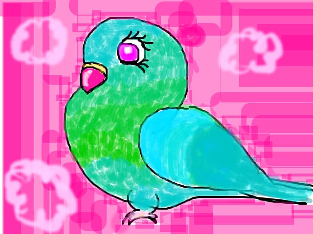 Budgie Baby Girl