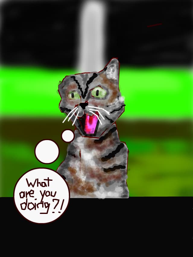 din seria "crazy catz":)):))
