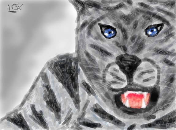 Leopard De Zapada
