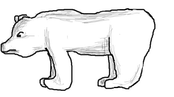 ursulica