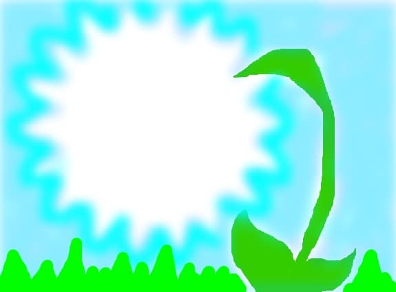 floare colorata