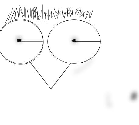 N-am avut ce face