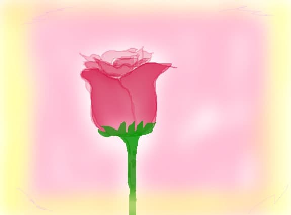 trandafirul roz