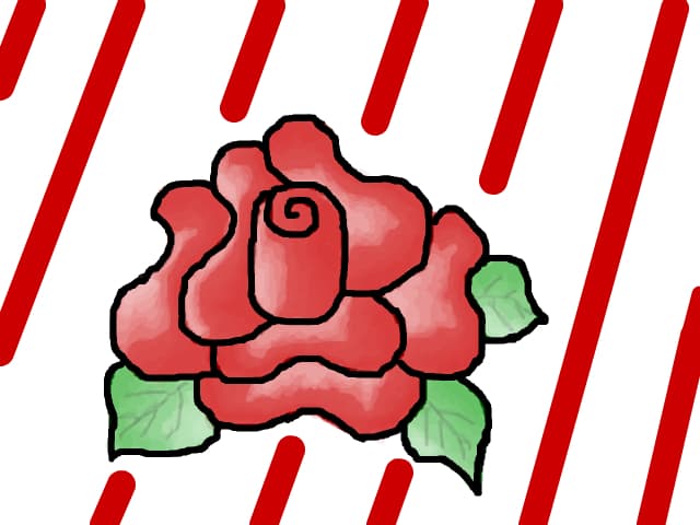 Rose
