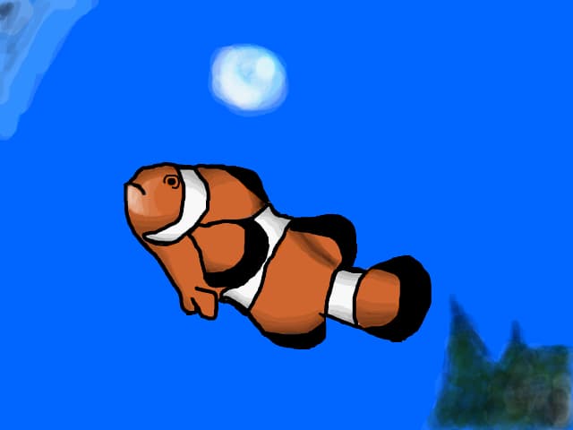 Fish