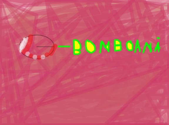 BomboanaXD
