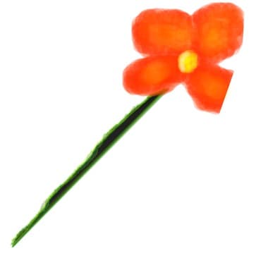 A flower