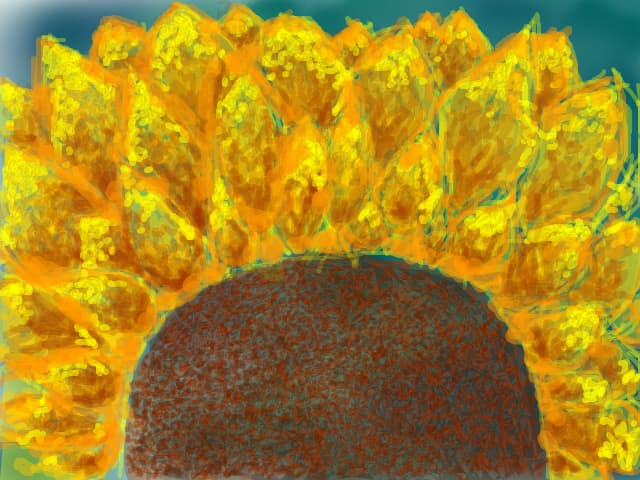 sunflower