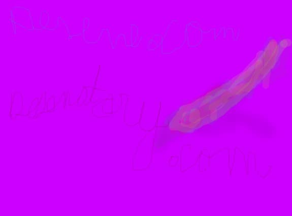 desenatori.com