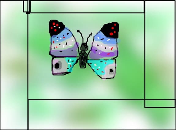 butterfly