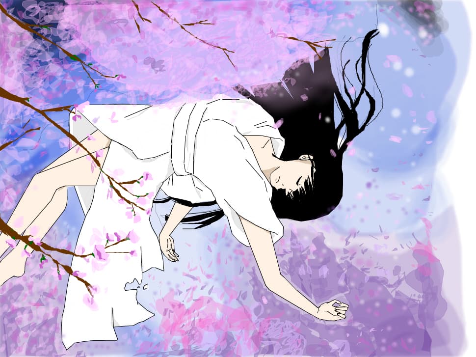 Chery blossom rain