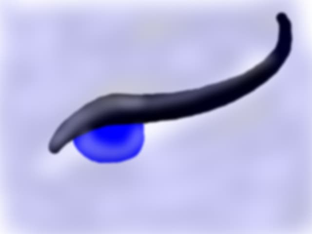 The eye in the blue