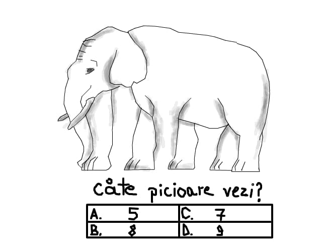 Cate picioare vezi?