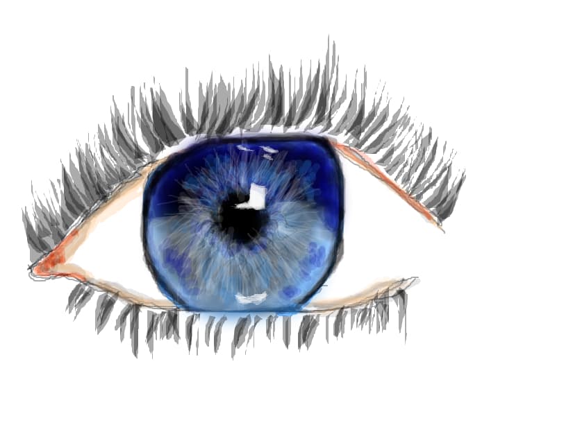 eye