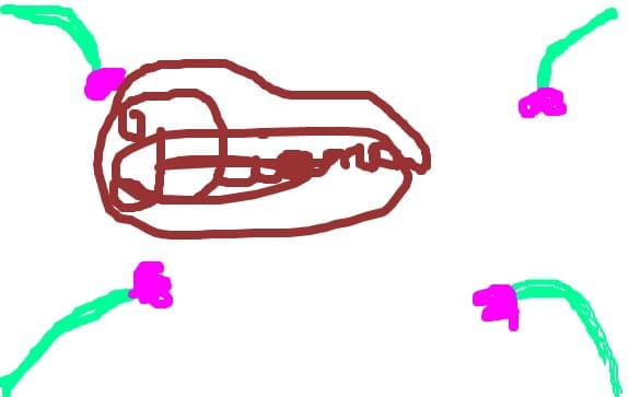 sssssss