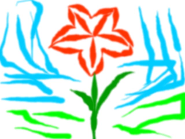 a beauty flower