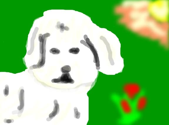 lumy