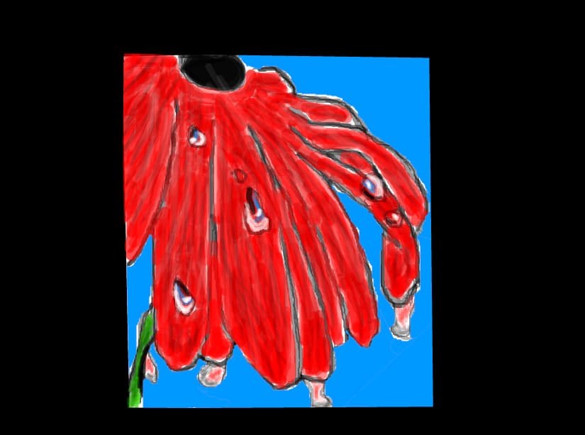 floricica.