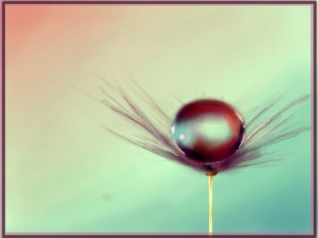 Drop :| ...