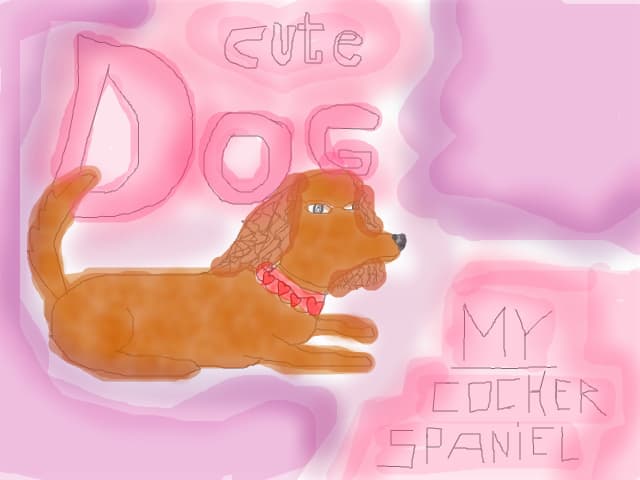 Cute Dog-My Cocker Spaniel