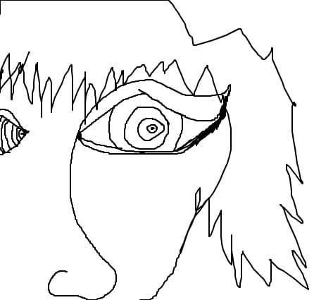 BAAU
