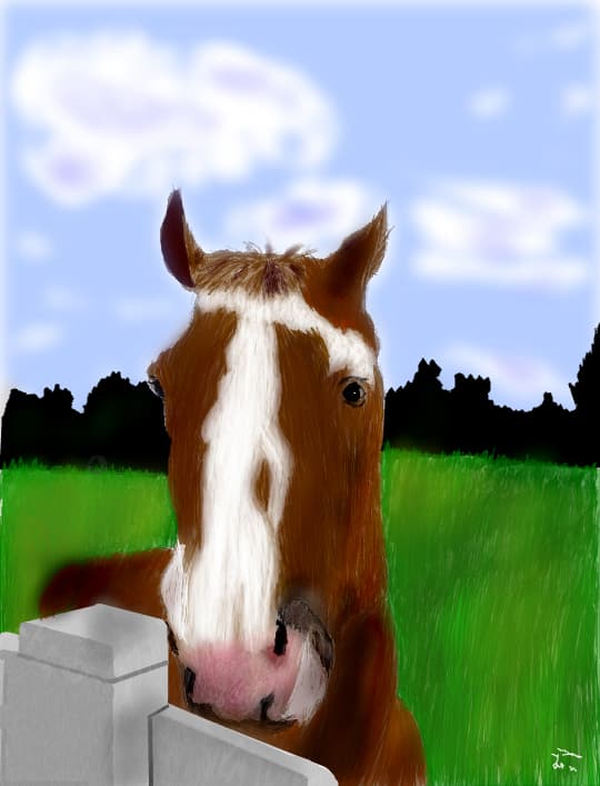 Horse