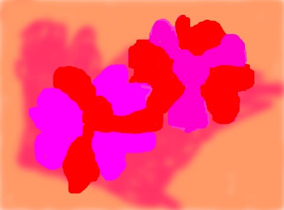Two Flowers