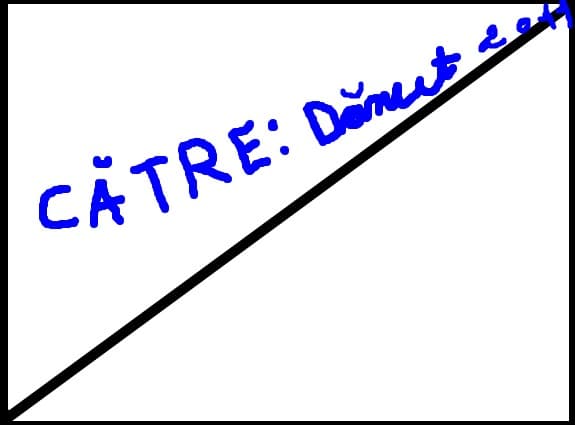 Catre:Danut2011