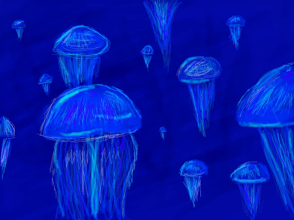 Meduze:)