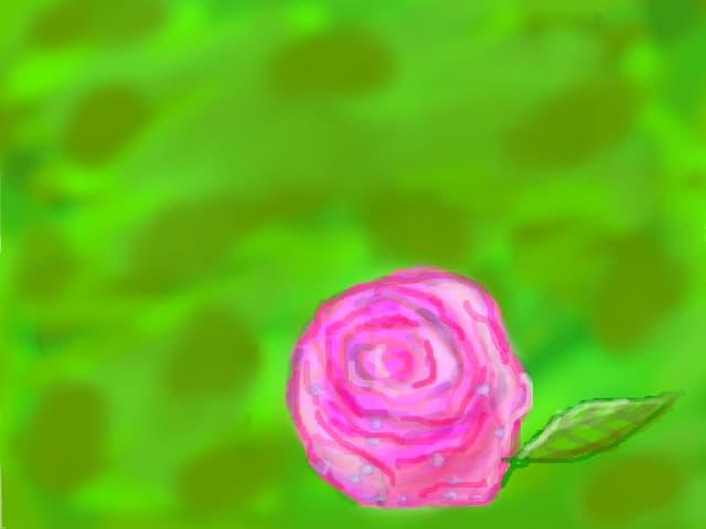 Rose :)
