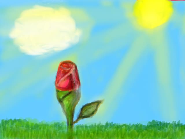 Rose :)