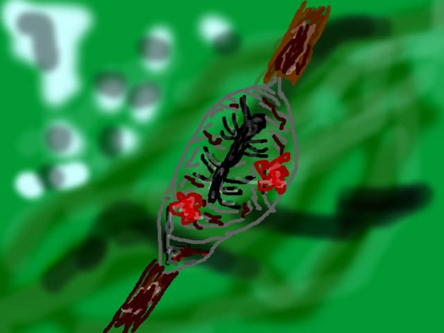 Un tartarel