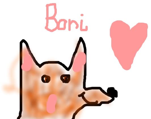 Boni