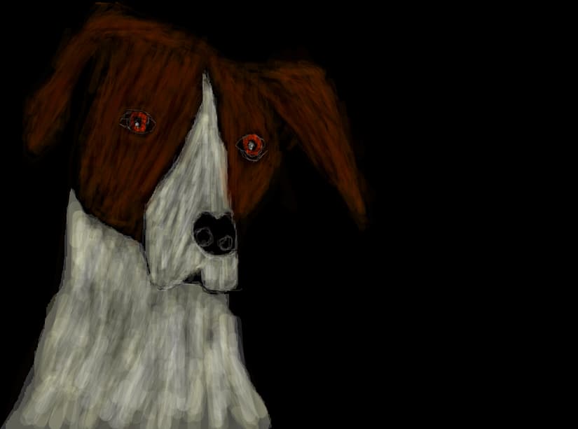 dog