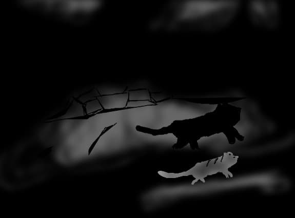 stupid cat