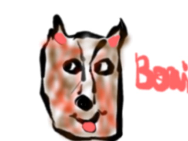 boni