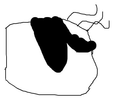 naspa da e numai p[t concursss