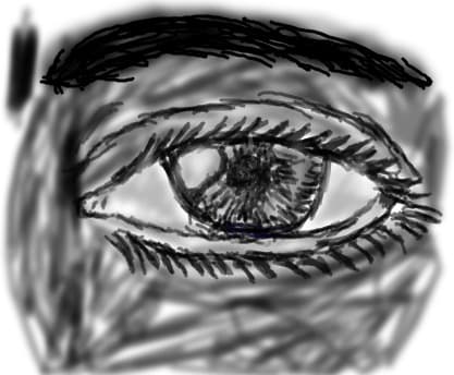 eye