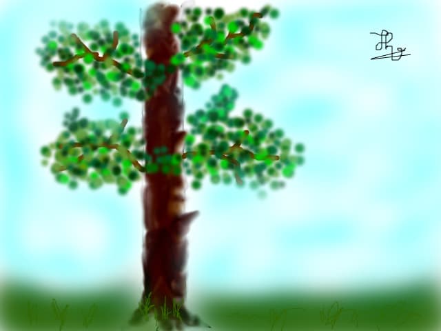 the life tree