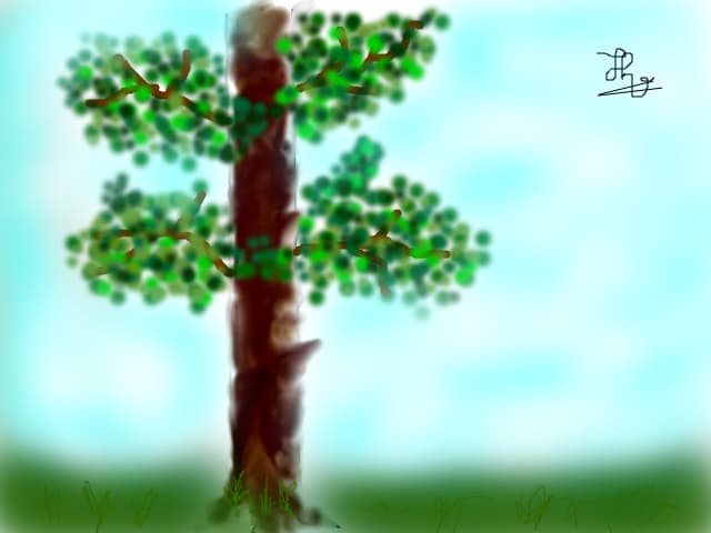 the life tree