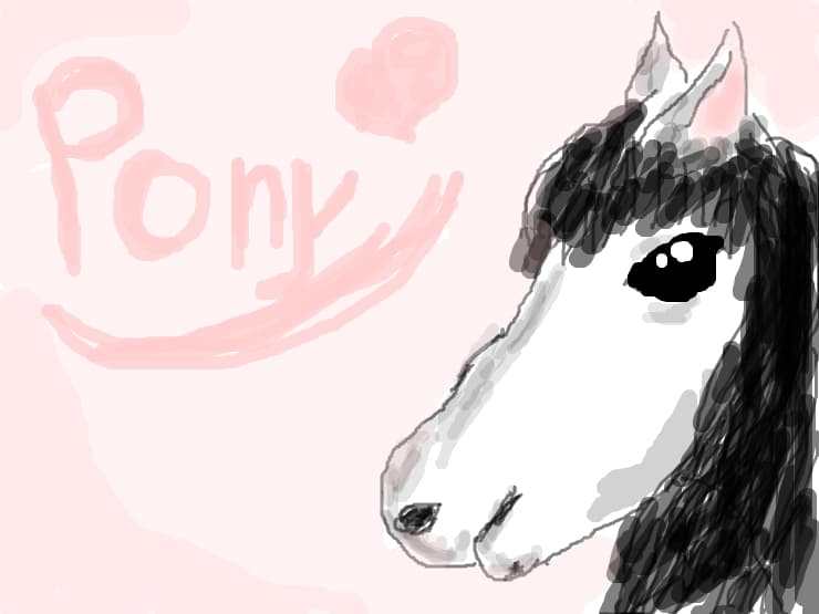 pony