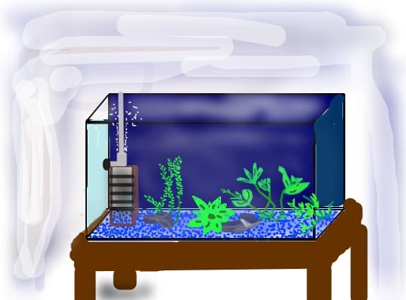 Acvariu fara pesti modificat