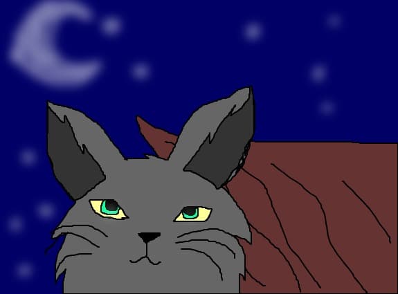 The alpha cat
