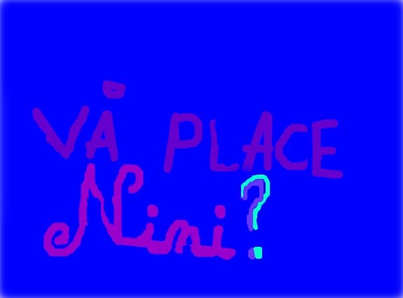 Va place Nini?